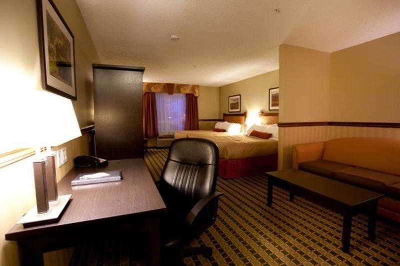 Best Western Diamond Inn Three Hills Rum bild